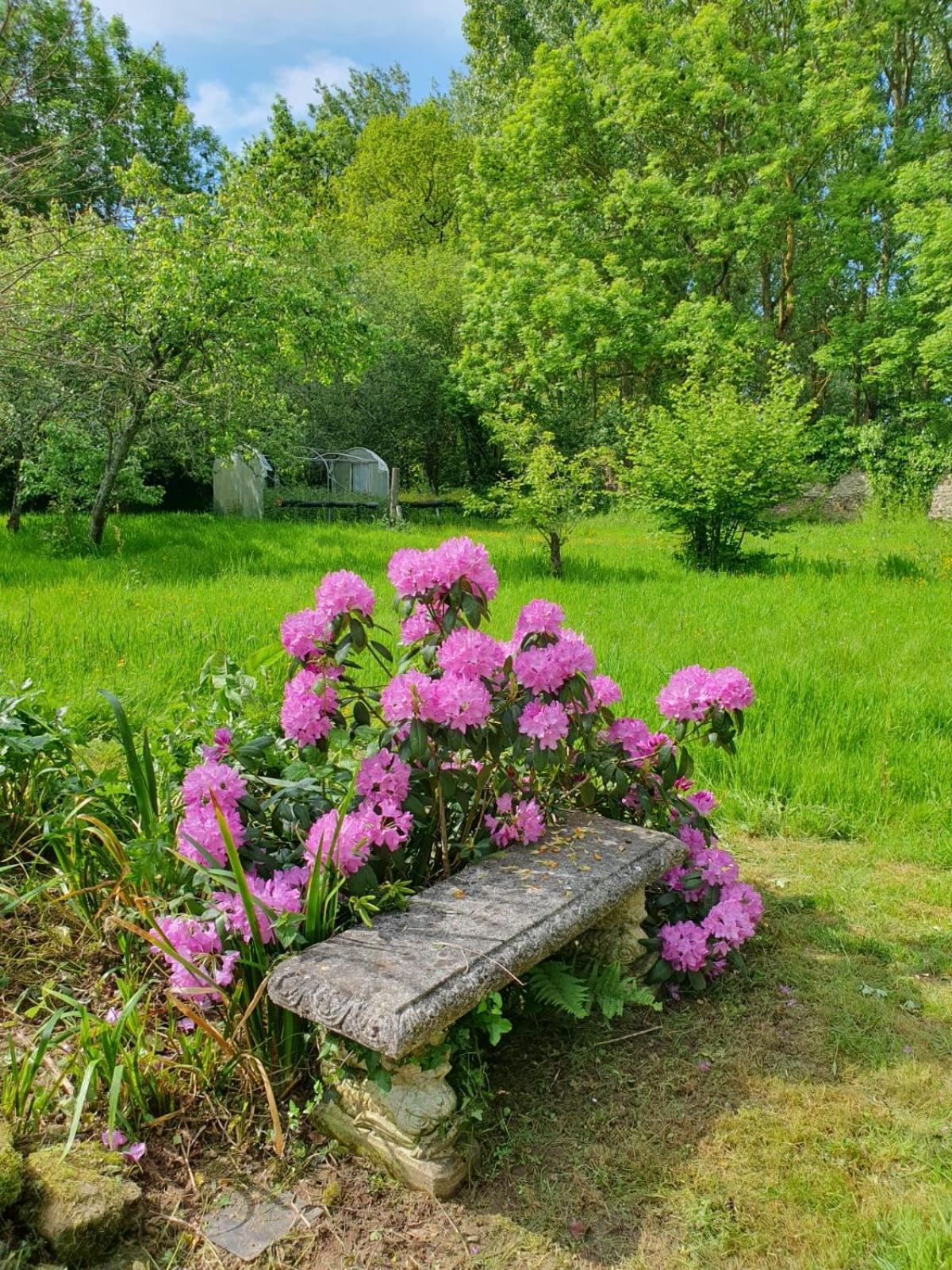 La Guyonnais Bed and Breakfast Quévert Εξωτερικό φωτογραφία
