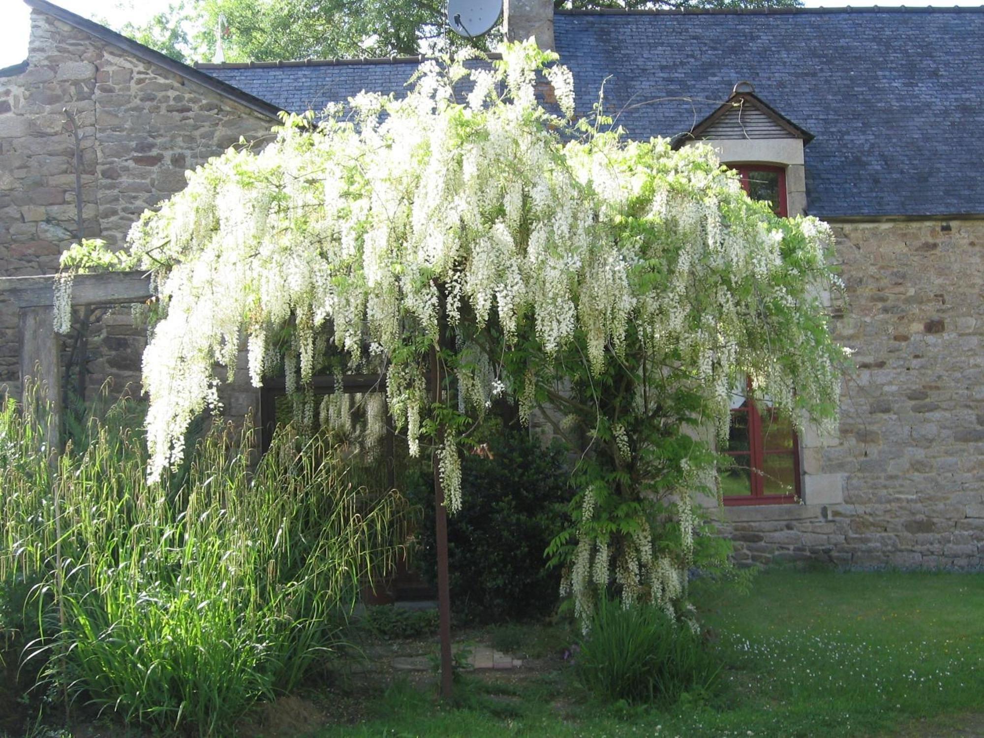 La Guyonnais Bed and Breakfast Quévert Εξωτερικό φωτογραφία